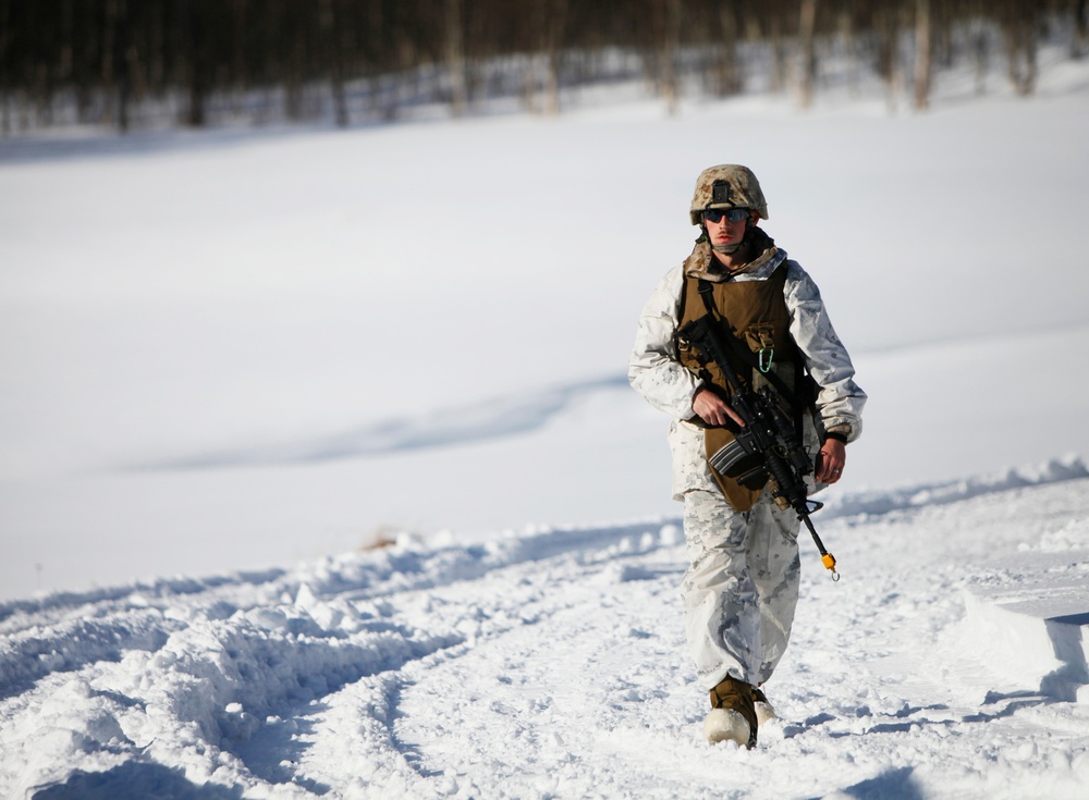Marine Reservists thrive in the Arctic Circle