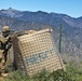 Observation Post Mustang Roving Guard