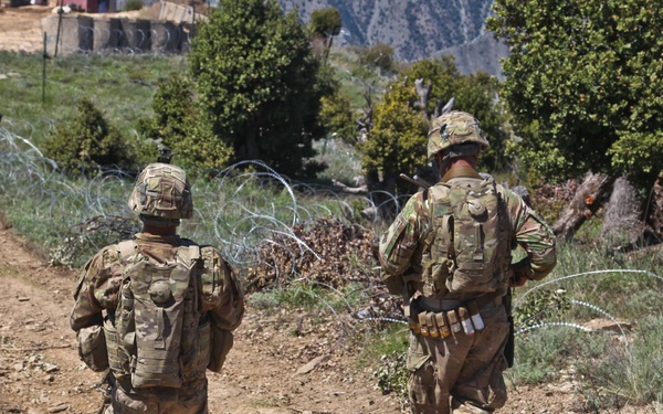 Observation Post Mustang Roving Guard