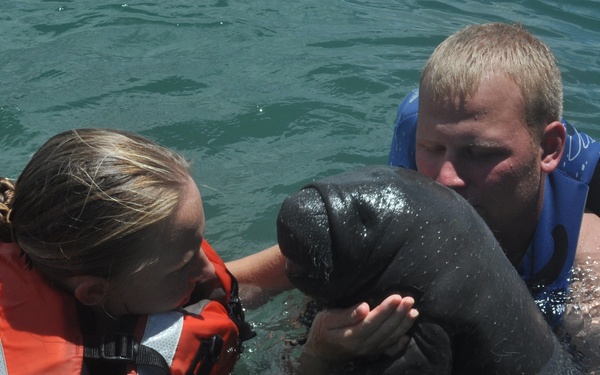 Baby mantaee at NAS Guantanamo Bay