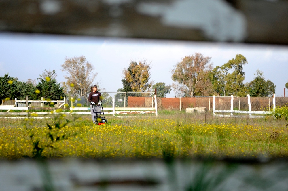 Dog lovers polish puppy park