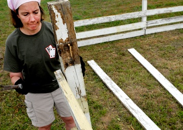 Dog lovers polish puppy park