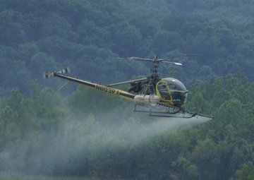 A bird helping birds: Corps uses helicopter to prepare habitat for endangered birds