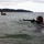 Marines qualify as scout swimmers during course