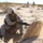 Headquarters Marines establish and secure base during Desert Fire Exercise