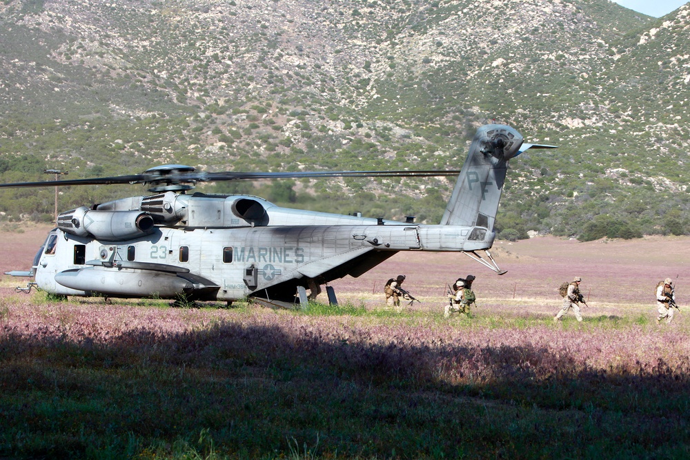 Tactical Recovery of Aircraft and Personnel Platoon trains to rescue downed pilots