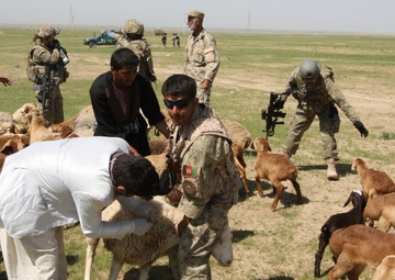 Soldiers support sheep inoculation project