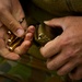 2012 Australian Army Skills at Arms Meeting