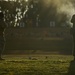 2012 Australian Army Skills at Arms Meeting