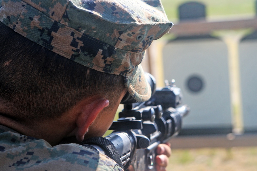 Crawl, walk, run: 2nd Combat Engineer Battalion puts their Marines to the test