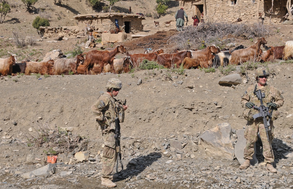 Where the Wild Things Are - A photo essay from COP Wilderness