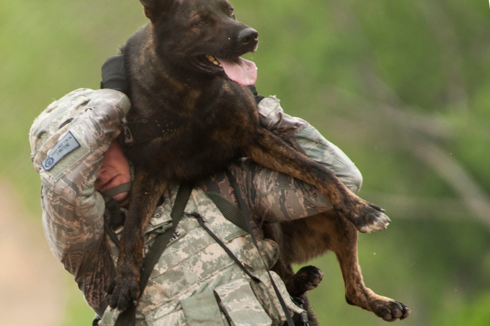 Military Working Dog Trials