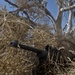 9th female sniper in Air Force history