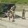 Disembarking an amphibious assault vehicle Disembarking an amphibious assault vehicle