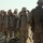 Mock noncombatant evacuation operation Mock noncombatant evacuation operation