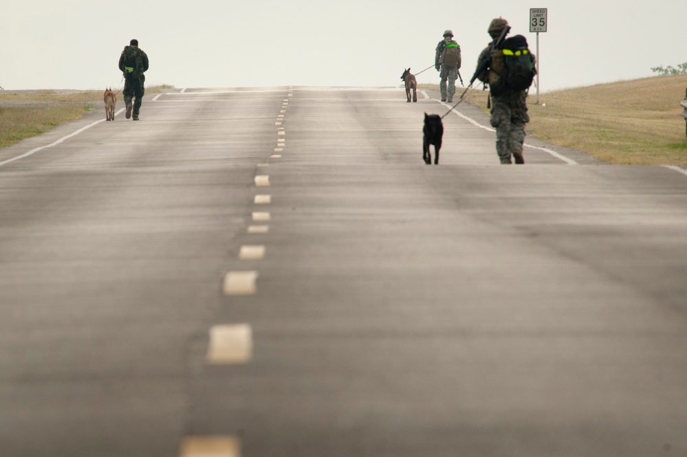 Military working dog trials