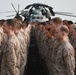 Marines attend ceremony aboard USS Makin Island