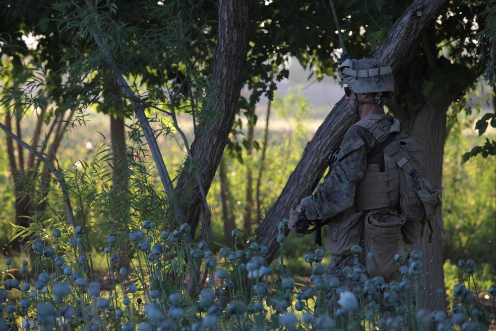 1/8 Marines patrol through Kajaki district