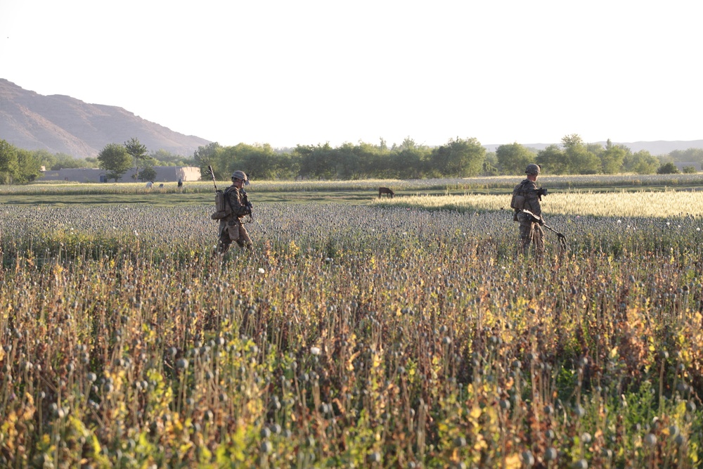 1/8 Marines patrol through Kajaki district