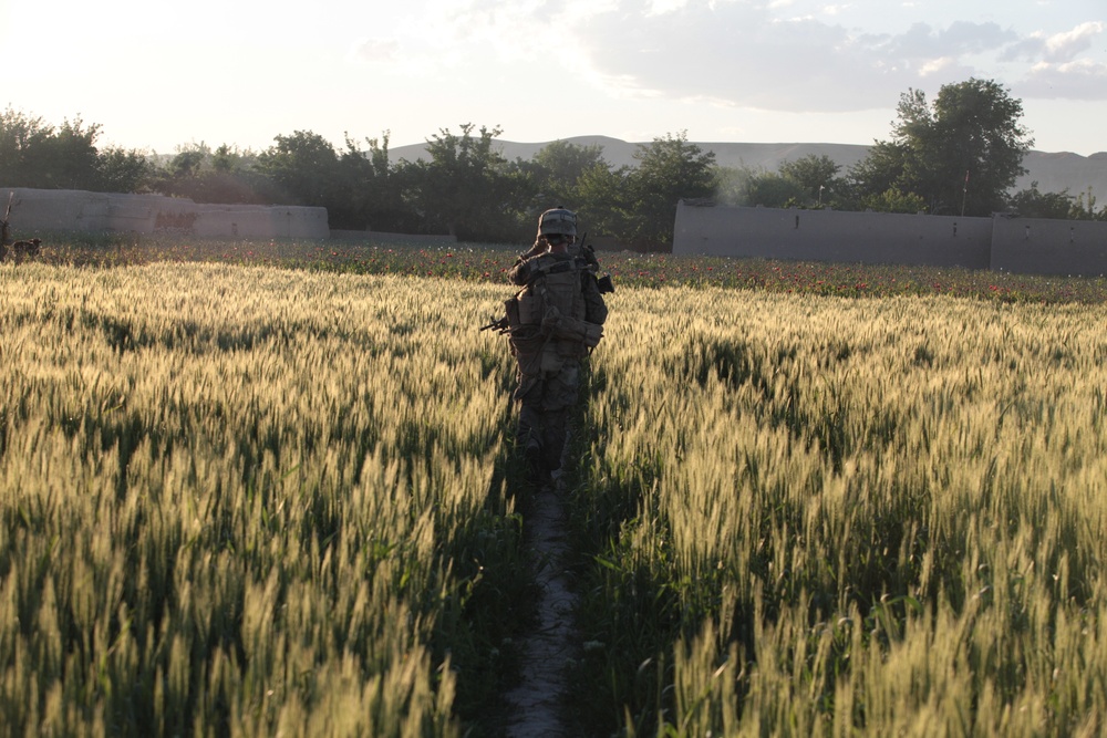 1/8 Marines patrol through Kajaki district