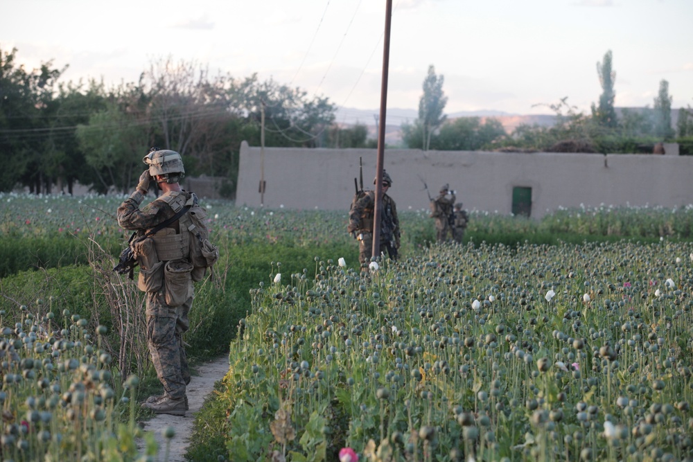 1/8 Marines patrol through Kajaki district