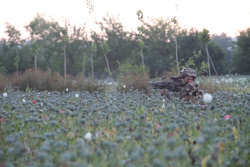 1/8 Marines patrol through Kajaki district