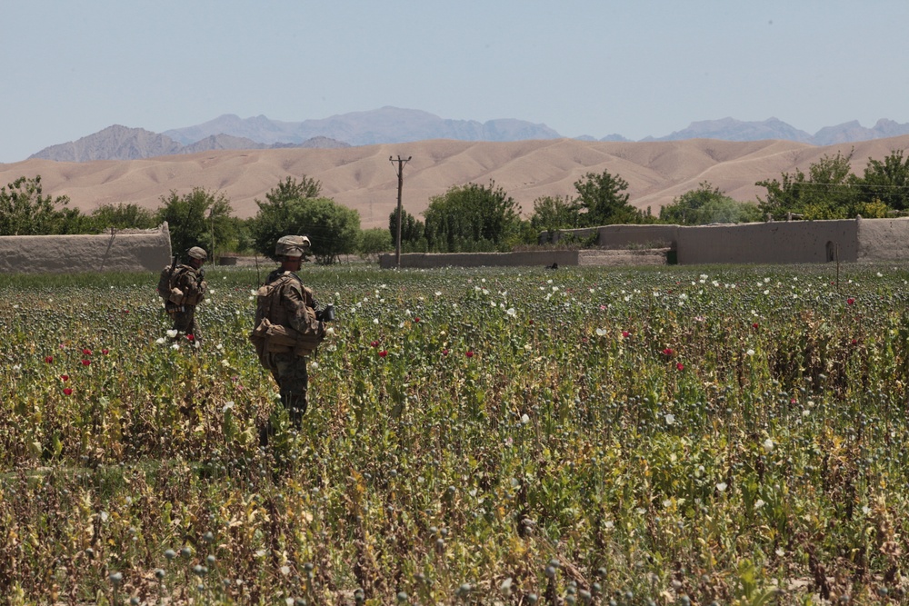 1/8 Marines patrol through Kajaki district