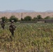 1/8 Marines patrol through Kajaki district