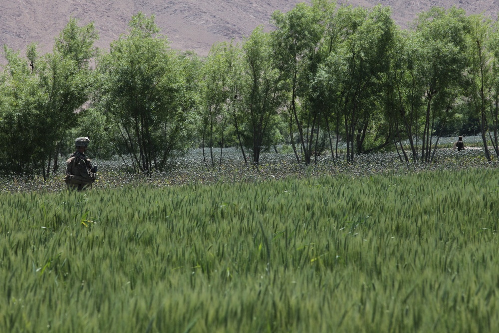 1/8 Marines patrol through Kajaki district