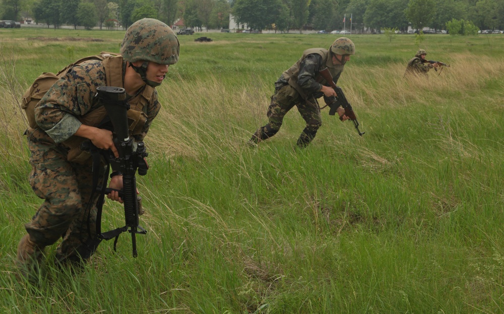 Devil Dogs Help Prepare Black Wolves For War