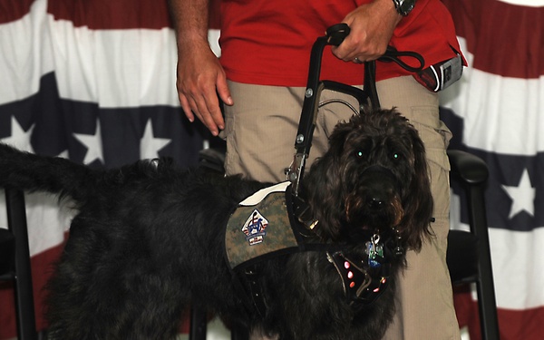 Wounded Warrior receives a 'Helping Paw'