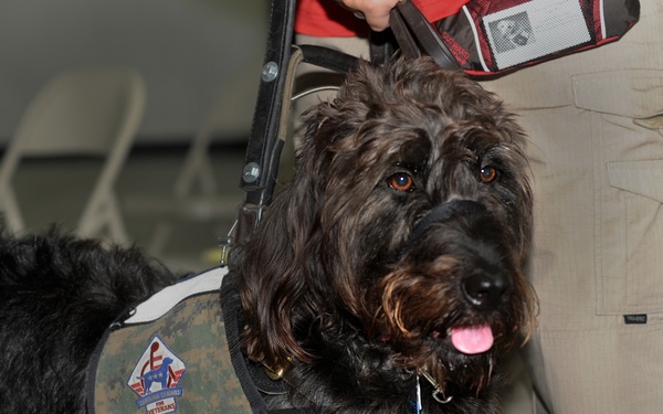 Wounded Warrior receives a 'Helping Paw'