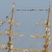 Colombian tall Ship ARC Gloria