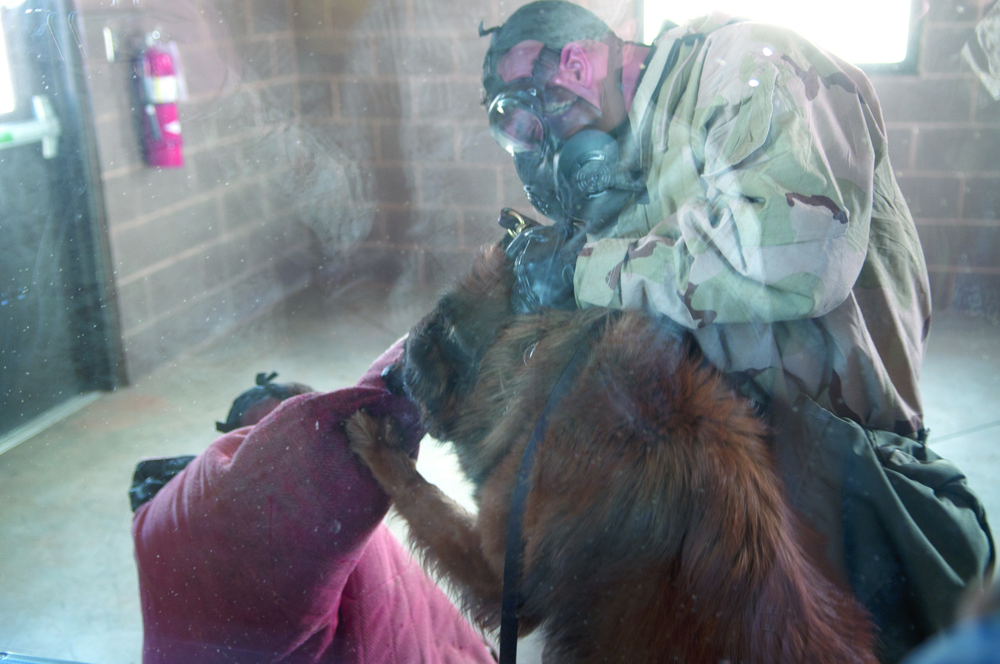 Marines gain confidence in new gas chamber