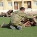 US, Jordanian troops practice combatives