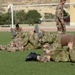 US, Jordanian troops practice combatives