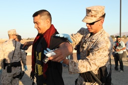 Marine's Best Friend