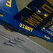 Blue Angels in Tennessee