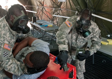 Medical, chemical troops forge alliance against potential CBRNE threats on U.S. soil