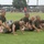 Ability groups help build and maintain strength and endurance