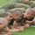 Ability groups help build and maintain strength and endurance