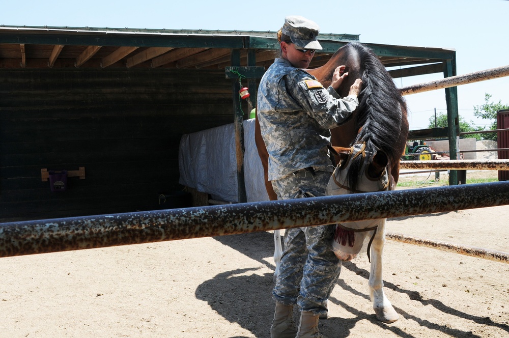 Soldier‘s most prized possessions are her horses