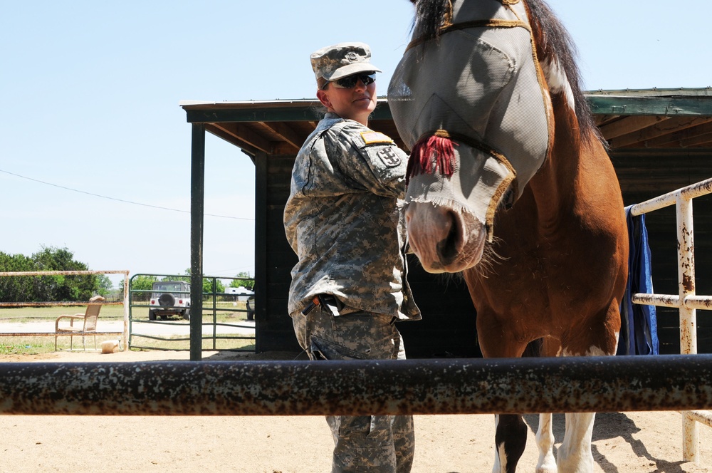 Soldier‘s most prized possessions are her horses