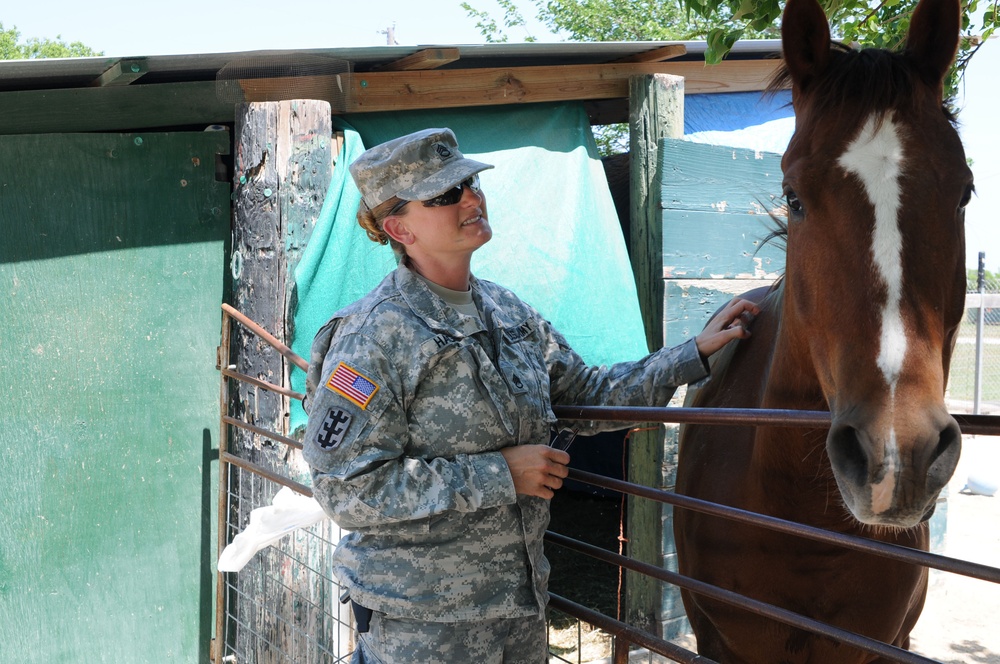 Soldier‘s most prized possessions are her horses