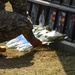 Laying flowers on memorial