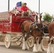 Anheuser-Busch Clydesdales first to trample down Gonsalves Ave