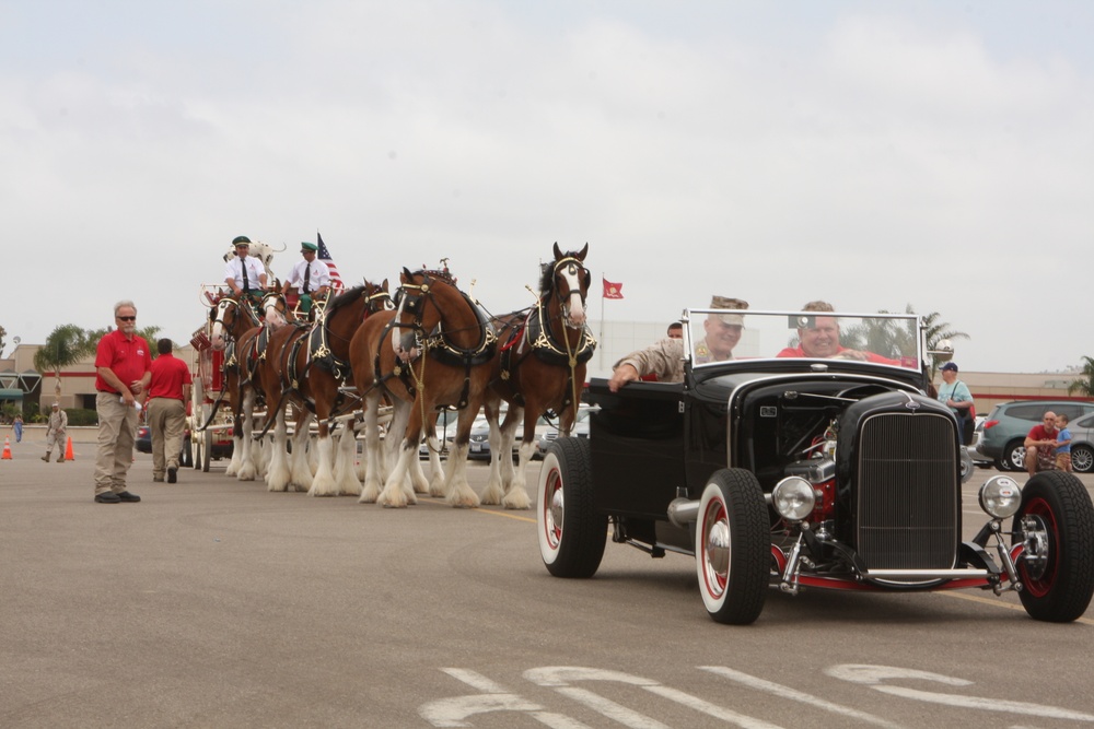 Anheuser-Busch Clydesdales first to trample down Gonsalves Ave