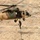 Coalition partners conduct capabilities demonstration