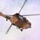 Coalition partners conduct capabilities demonstration