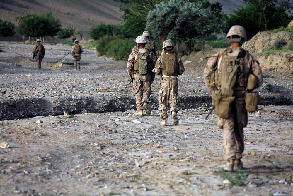 Security patrol in Fulad